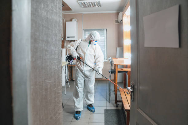 Best Mold Documentation for Insurance Claims  in Cohasset, MN