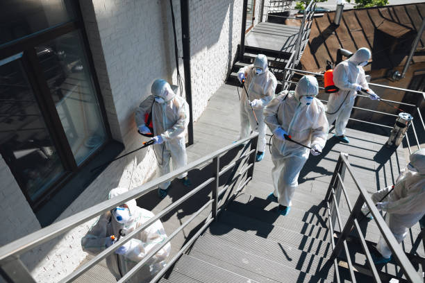 Asbestos and Lead Testing During Mold Inspection in Cohasset, MN