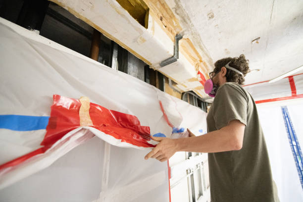 Best Crawl Space Mold Remediation  in Cohasset, MN
