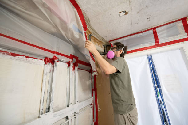 Best Mold Remediation for Healthcare Facilities  in Cohasset, MN