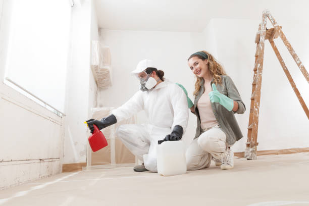 Cohasset, MN Mold Removal Company