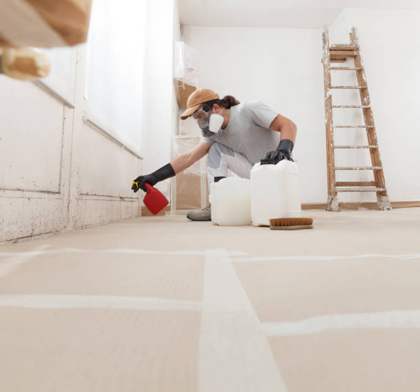 Best Airborne Mold Testing  in Cohasset, MN