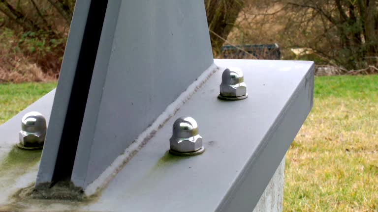 Best Industrial Mold Remediation  in Cohasset, MN